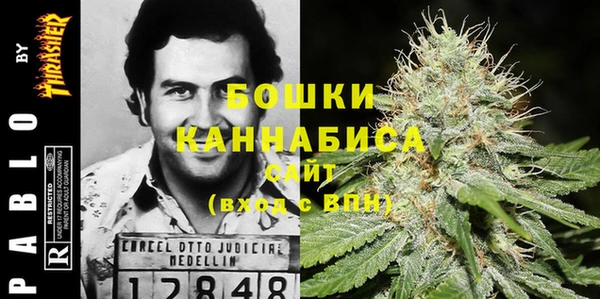 стафф Козловка