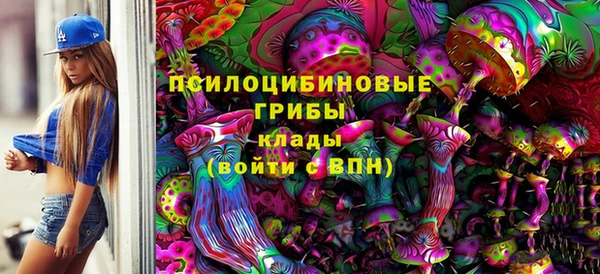 кокс Козельск