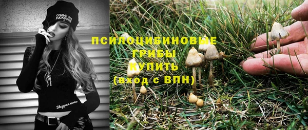 кокс Козельск