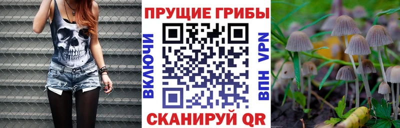 где купить наркоту  Колпашево  Псилоцибиновые грибы ЛСД 